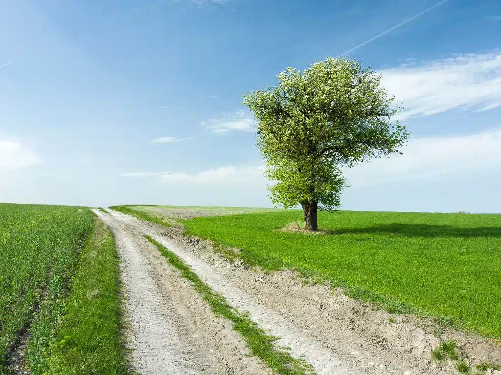 Scipio Financial Retirement